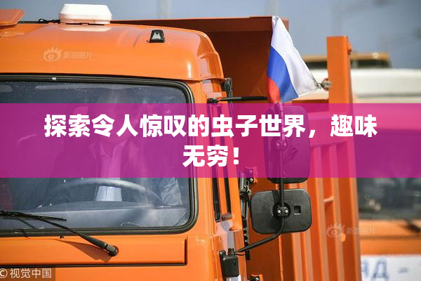 探索令人惊叹的虫子世界，趣味无穷！