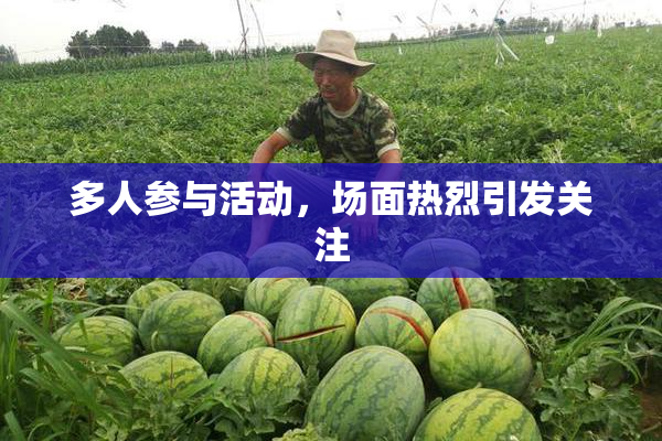 多人参与活动，场面热烈引发关注