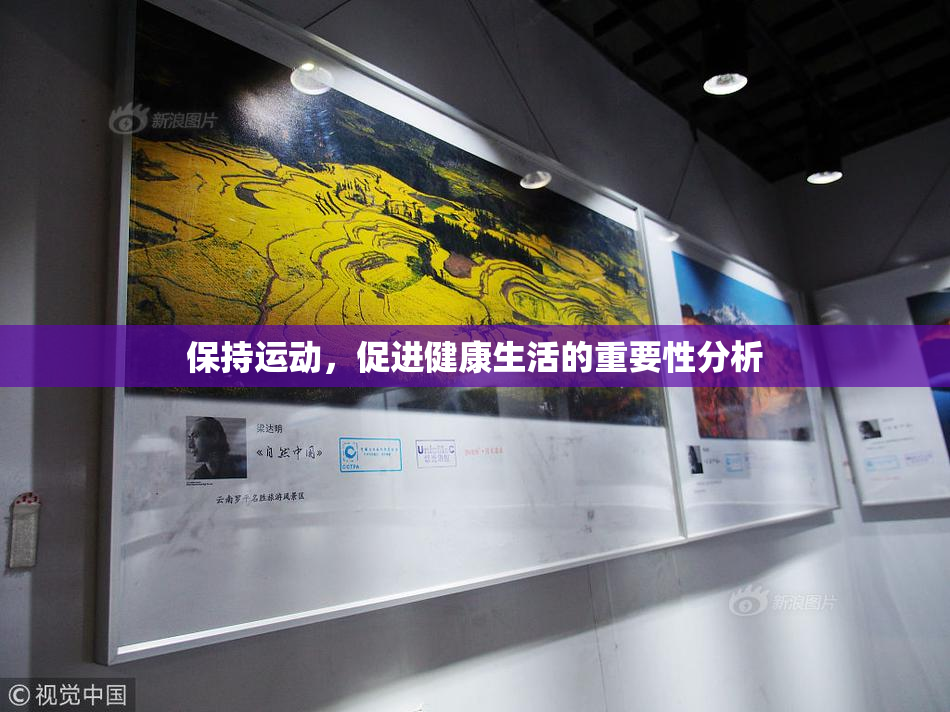 保持运动，促进健康生活的重要性分析