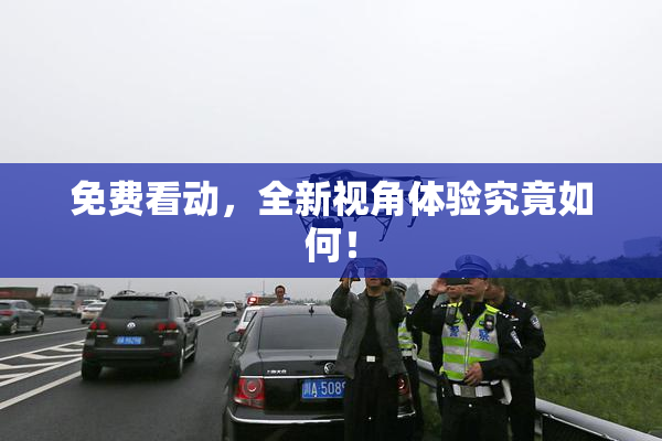 免费看动，全新视角体验究竟如何！