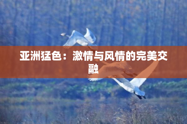 亚洲猛色：激情与风情的完美交融