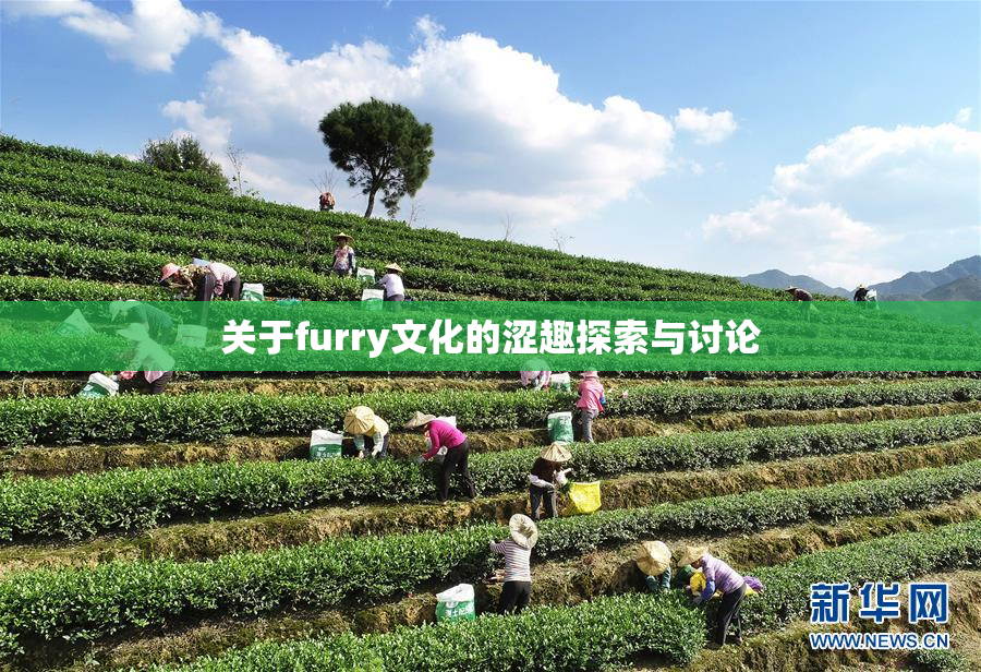 关于furry文化的涩趣探索与讨论