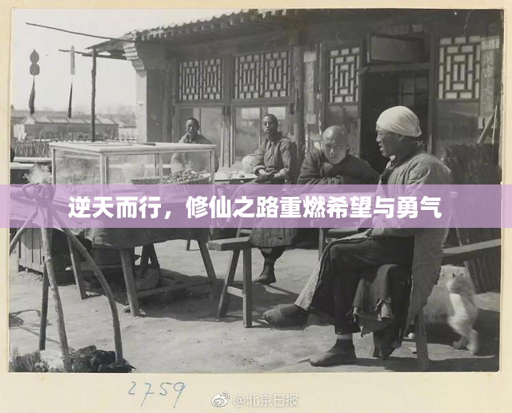 逆天而行，修仙之路重燃希望与勇气