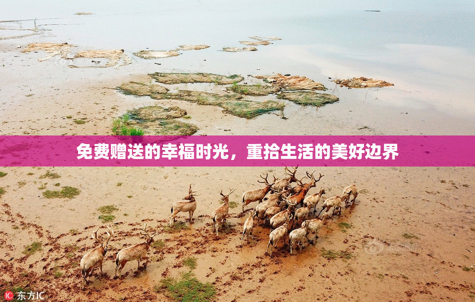 免费赠送的幸福时光，重拾生活的美好边界