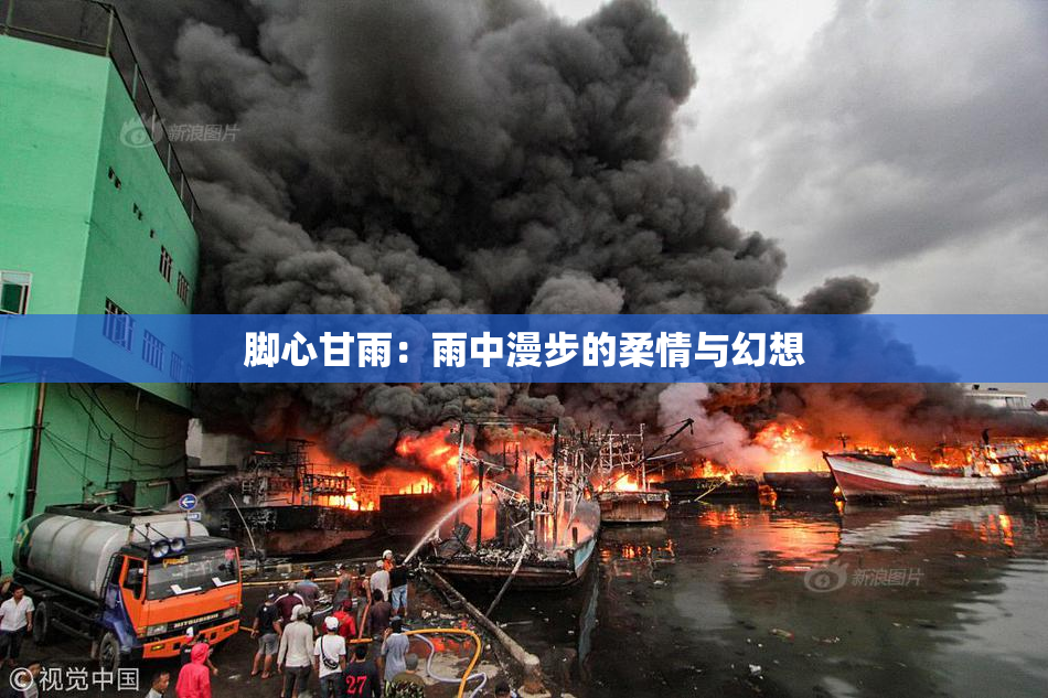 脚心甘雨：雨中漫步的柔情与幻想