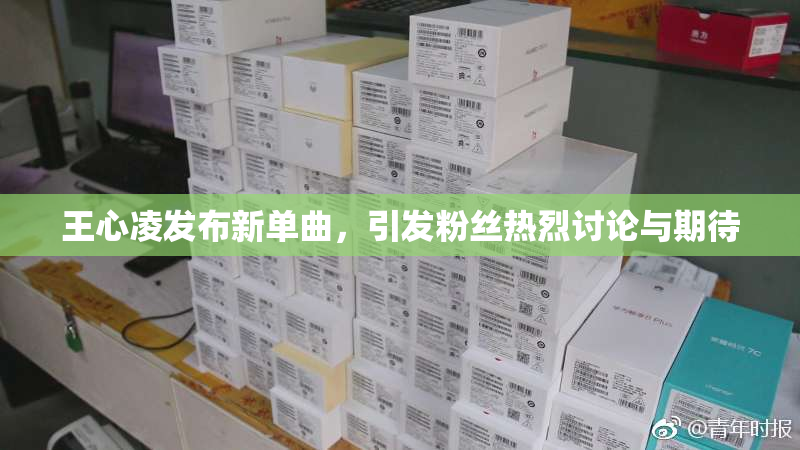 王心凌发布新单曲，引发粉丝热烈讨论与期待
