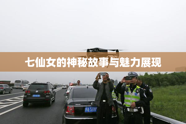 七仙女的神秘故事与魅力展现