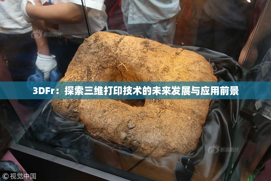 3DFr：探索三维打印技术的未来发展与应用前景