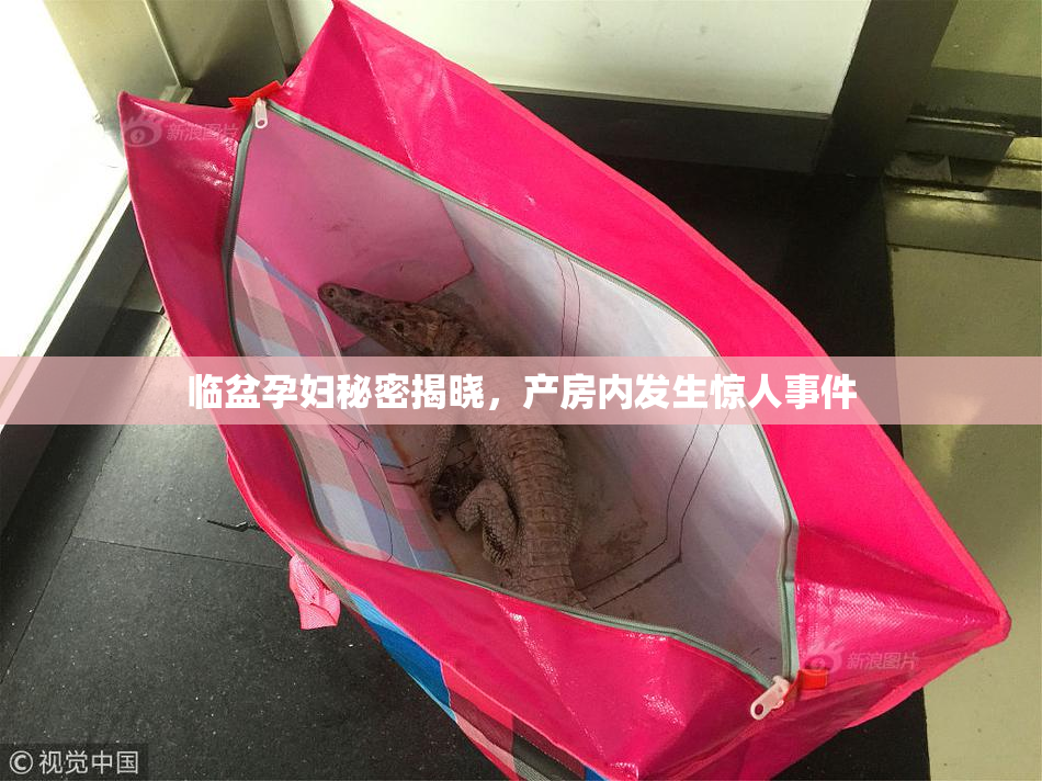 临盆孕妇秘密揭晓，产房内发生惊人事件