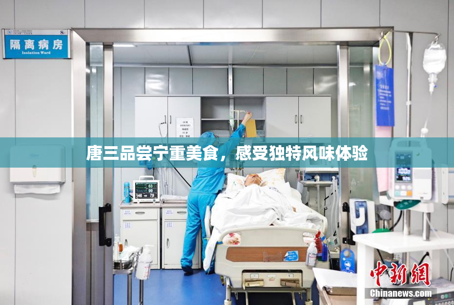 唐三品尝宁重美食，感受独特风味体验