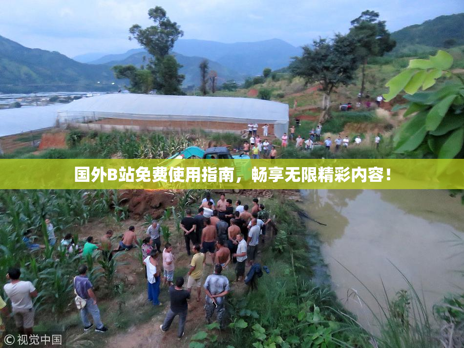 国外B站免费使用指南，畅享无限精彩内容！