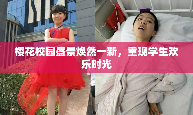 樱花校园盛景焕然一新，重现学生欢乐时光