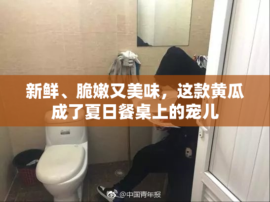新鲜、脆嫩又美味，这款黄瓜成了夏日餐桌上的宠儿