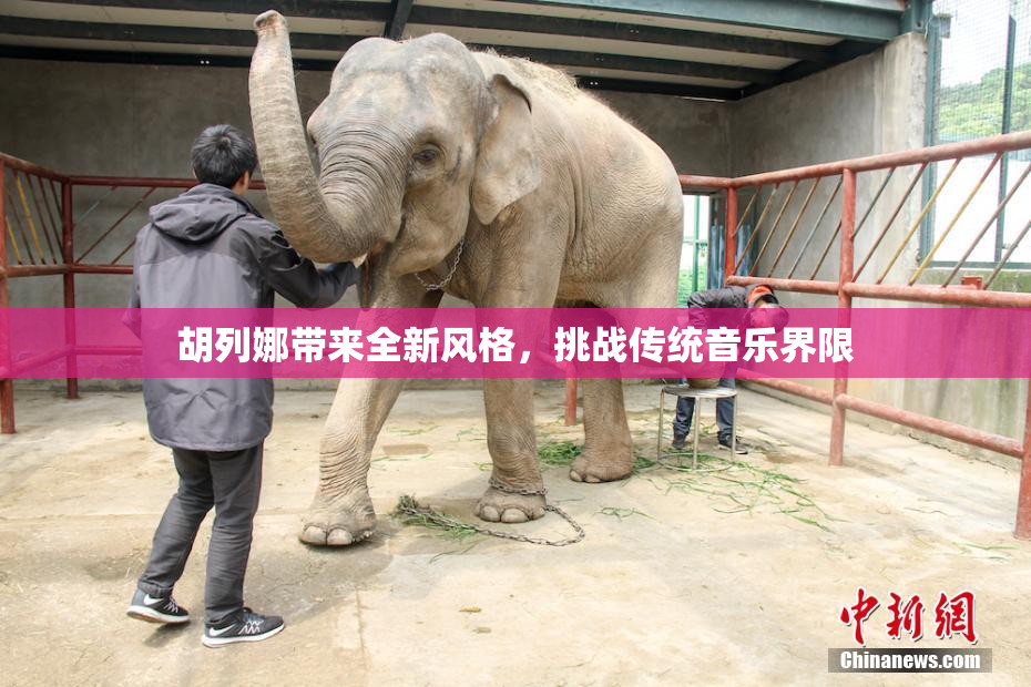 胡列娜带来全新风格，挑战传统音乐界限