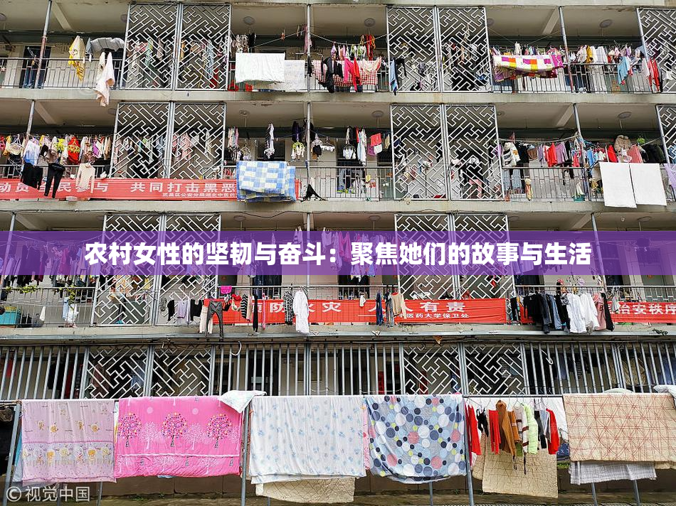 农村女性的坚韧与奋斗：聚焦她们的故事与生活