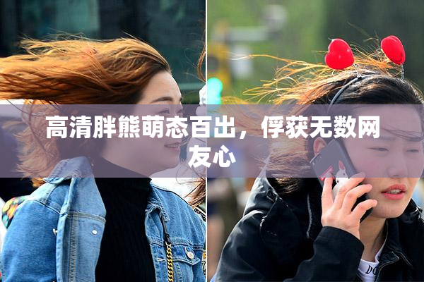 高清胖熊萌态百出，俘获无数网友心