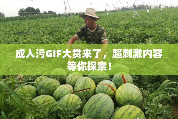 成人污GIF大赏来了，超刺激内容等你探索！