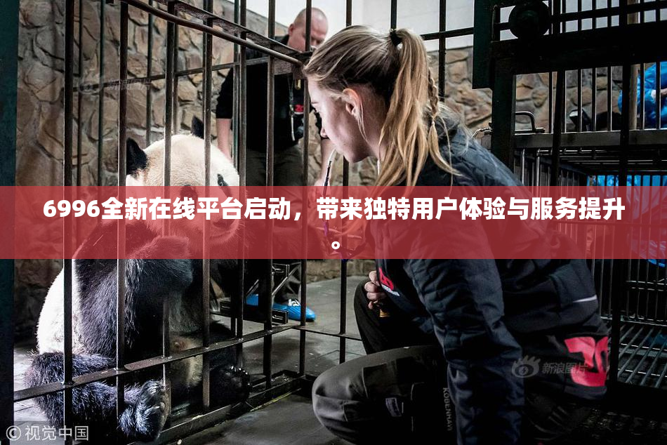 6996全新在线平台启动，带来独特用户体验与服务提升。