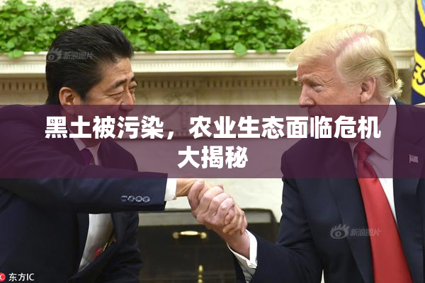黑土被污染，农业生态面临危机大揭秘