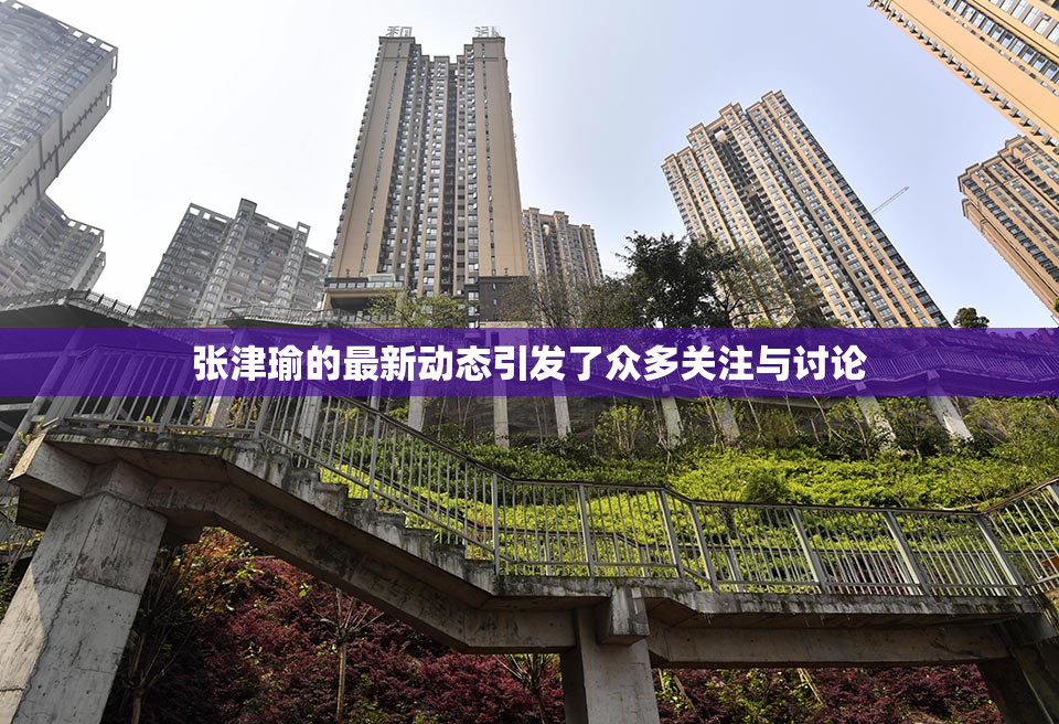 张津瑜的最新动态引发了众多关注与讨论