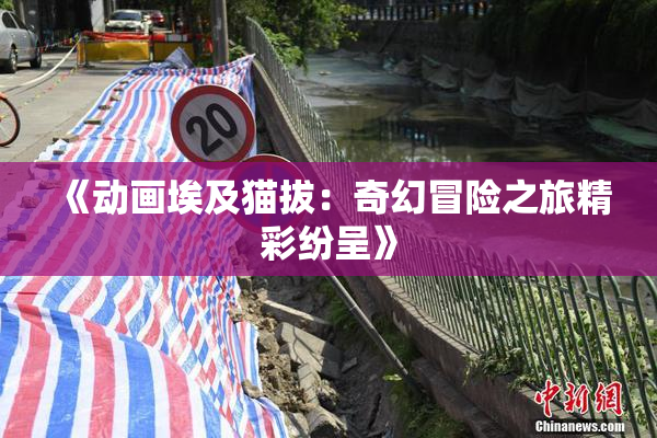 《动画埃及猫拔：奇幻冒险之旅精彩纷呈》