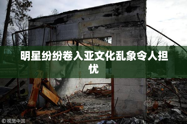 明星纷纷卷入亚文化乱象令人担忧