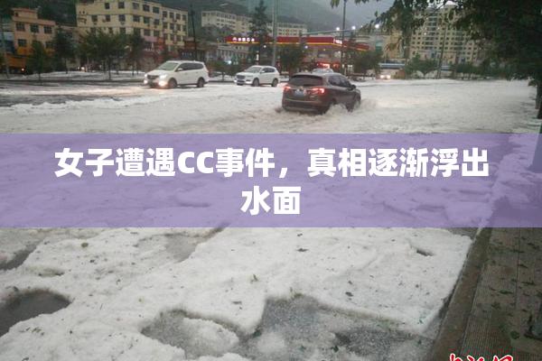 女子遭遇CC事件，真相逐渐浮出水面