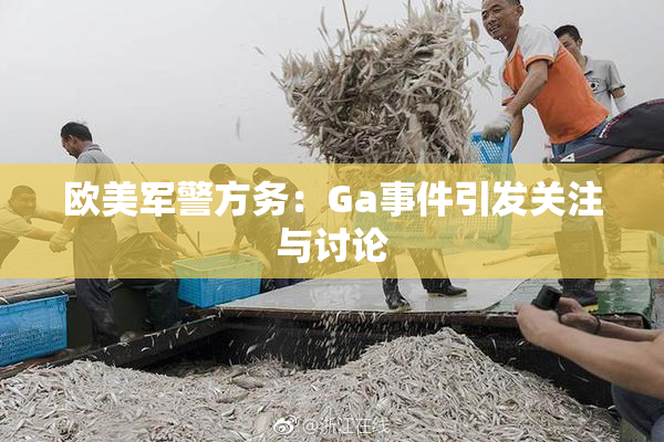 欧美军警方务：Ga事件引发关注与讨论