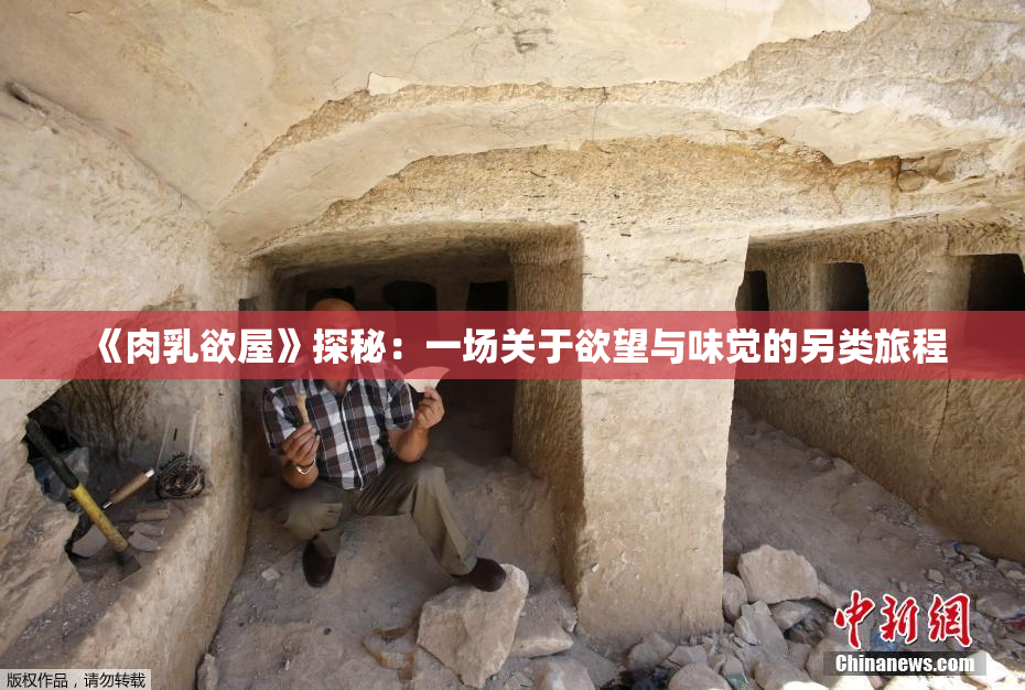 《肉乳欲屋》探秘：一场关于欲望与味觉的另类旅程