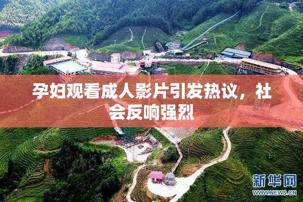孕妇观看成人影片引发热议，社会反响强烈