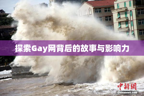 探索Gay网背后的故事与影响力