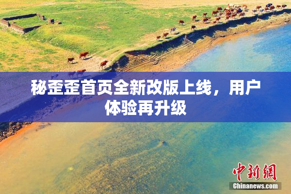 秘歪歪首页全新改版上线，用户体验再升级