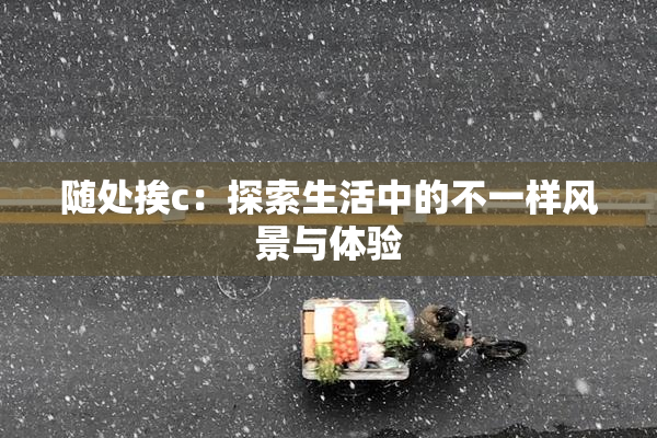 随处挨c：探索生活中的不一样风景与体验