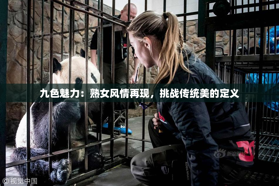 九色魅力：熟女风情再现，挑战传统美的定义