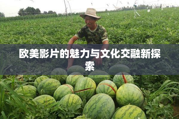 欧美影片的魅力与文化交融新探索