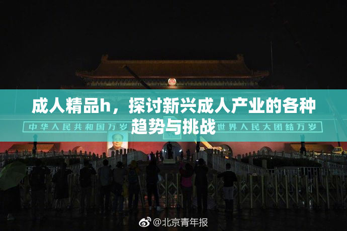 成人精品h，探讨新兴成人产业的各种趋势与挑战
