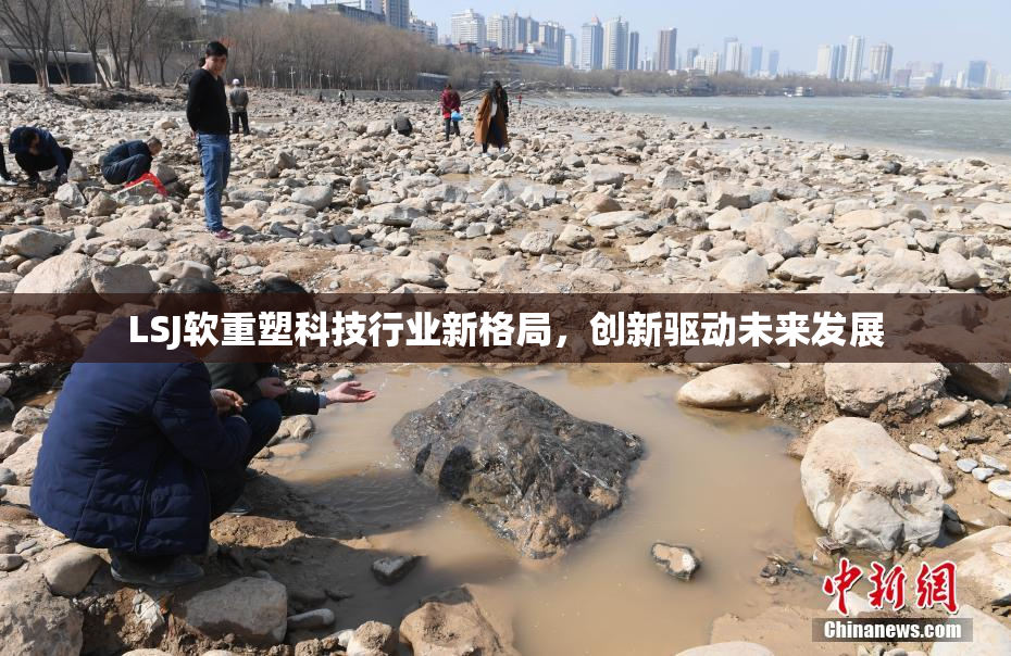 LSJ软重塑科技行业新格局，创新驱动未来发展