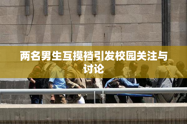 两名男生互摸裆引发校园关注与讨论