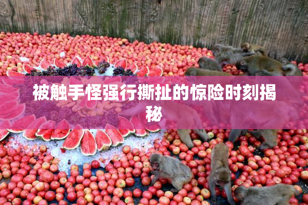 被触手怪强行撕扯的惊险时刻揭秘