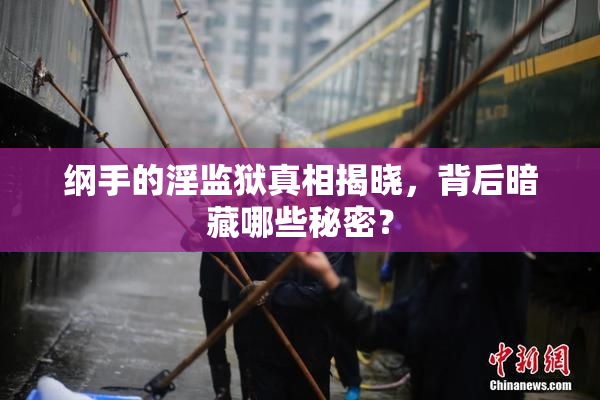 纲手的淫监狱真相揭晓，背后暗藏哪些秘密？