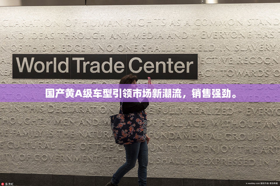 国产黄A级车型引领市场新潮流，销售强劲。