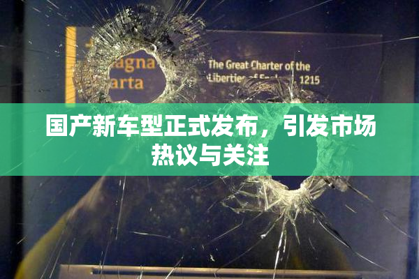 国产新车型正式发布，引发市场热议与关注