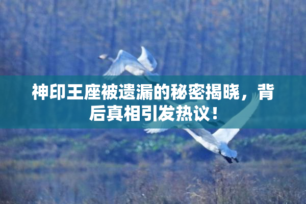 神印王座被遗漏的秘密揭晓，背后真相引发热议！