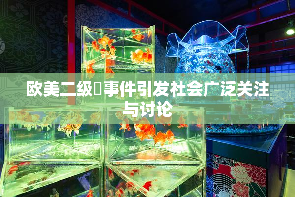 欧美二级婬事件引发社会广泛关注与讨论