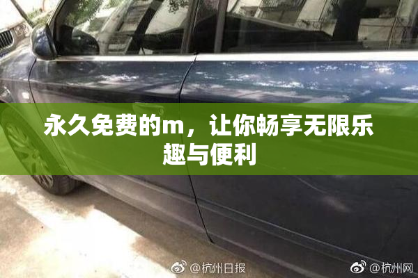 永久免费的m，让你畅享无限乐趣与便利