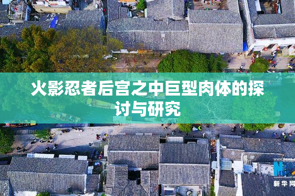 火影忍者后宫之中巨型肉体的探讨与研究