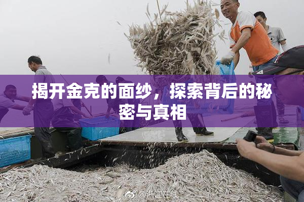 揭开金克的面纱，探索背后的秘密与真相