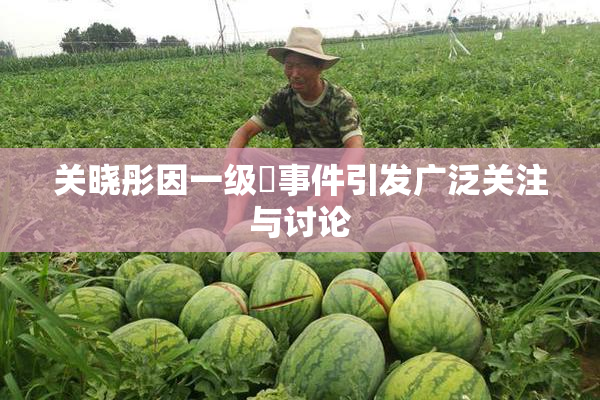 关晓彤因一级婬事件引发广泛关注与讨论