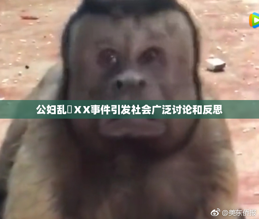 公妇乱婬ⅩX事件引发社会广泛讨论和反思