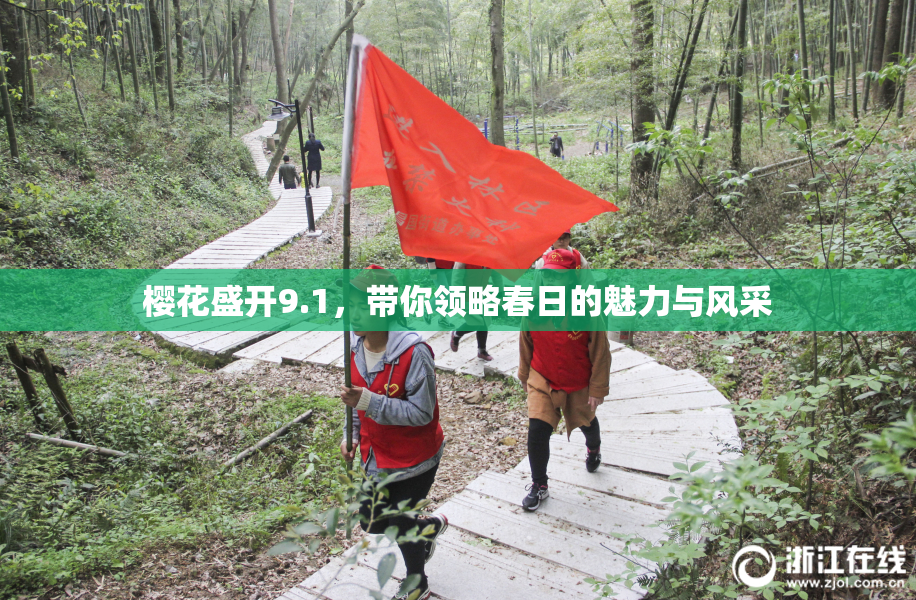 樱花盛开9.1，带你领略春日的魅力与风采